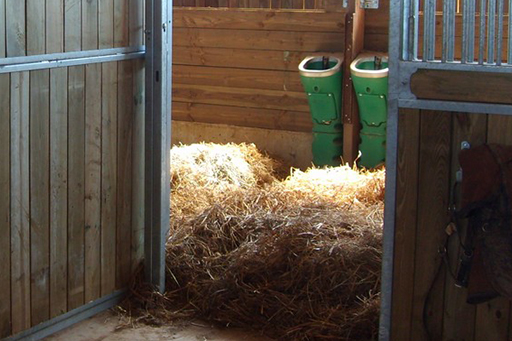 Manger for horses